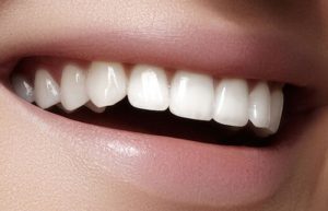 هریک از دندانها کدام نیاز مارو برطرف میکند