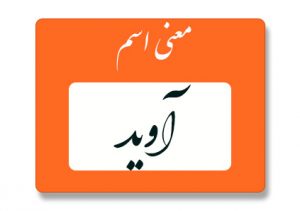 آوید