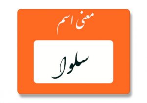 سلوا