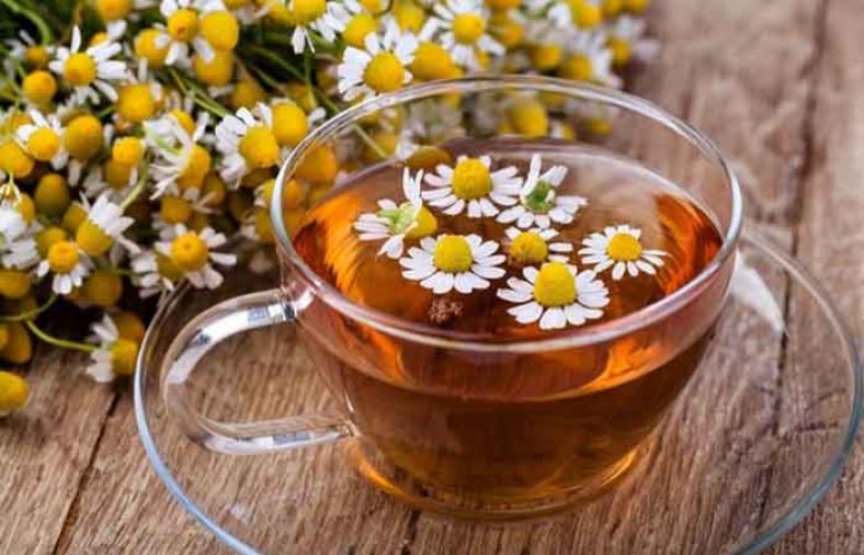 طبع بابونه