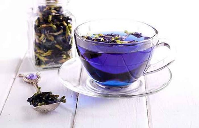 طبع گل گاوزبان