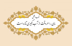 معنی ضرب المثل ماهی را هر وقت از آب بگیری تازه است