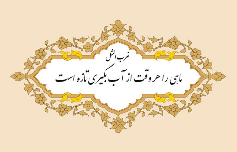 معنی ضرب المثل ماهی را هر وقت از آب بگیری تازه است