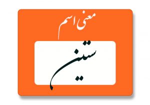معنی اسم ستین