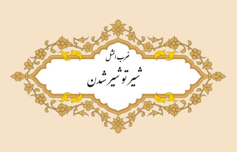 معنی ضرب المثل شیر تو شیر شدن