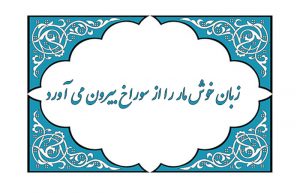 ضرب المثل زبان خوش مار را از سوراخ بیرون می آورد