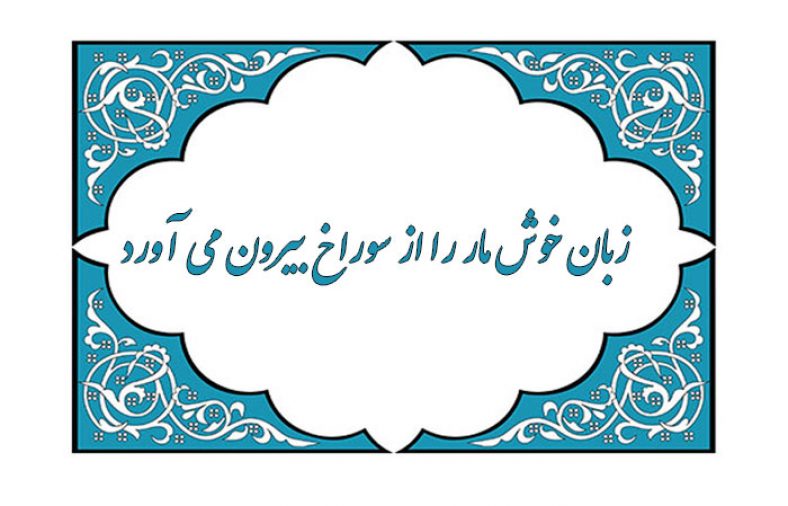 ضرب المثل زبان خوش مار را از سوراخ بیرون می آورد