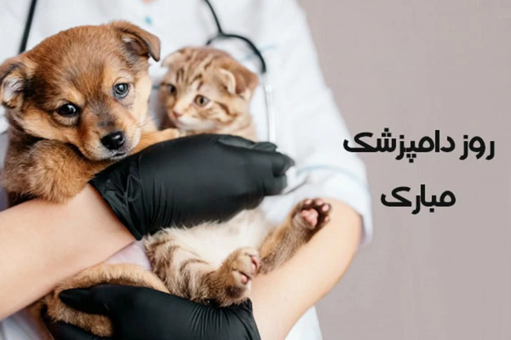 تبریک روز دامپزشک به همسر 