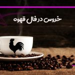 خروس در فال قهوه