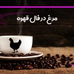 مرغ در فال قهوه