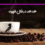 هدهد در فال قهوه