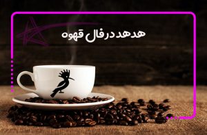 هدهد در فال قهوه