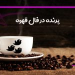 پرنده در فال قهوه
