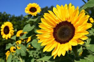 عکس نوشته های جذاب و مفهومی برای زندگی