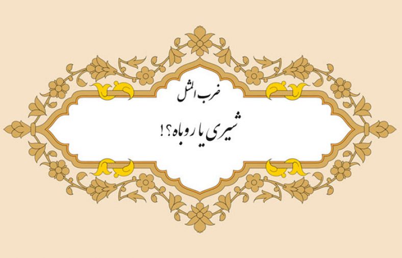 معنی ضرب المثل شیری یا روباه