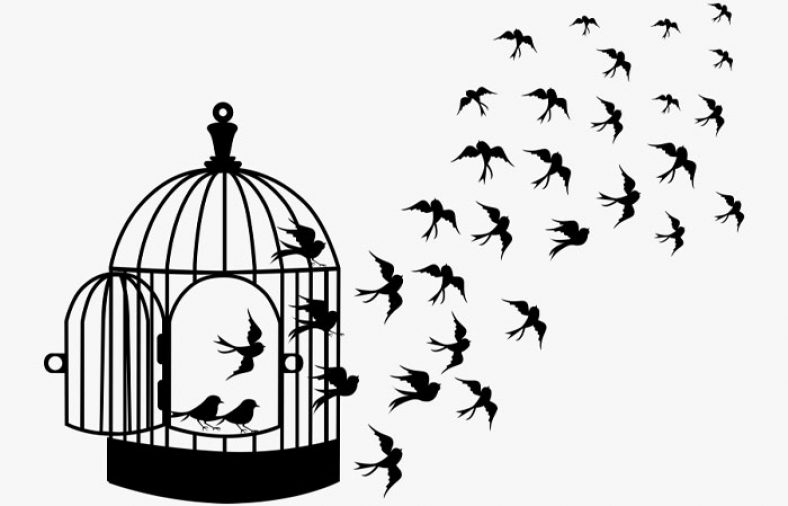 معنی شعر آزادی (ناله مرغ اسیر این همه بهر وطن)
