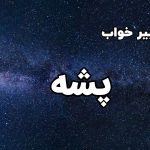 تعبیر خواب پشه