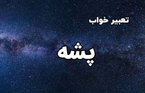 تعبیر خواب پشه