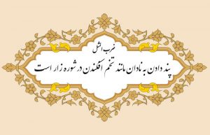 معنی ضرب المثل پند دادن به نادان مانند