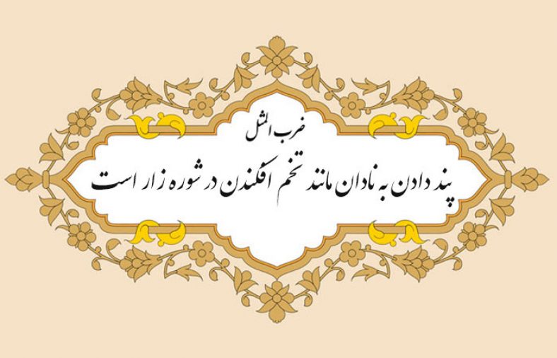 معنی ضرب المثل پند دادن به نادان مانند