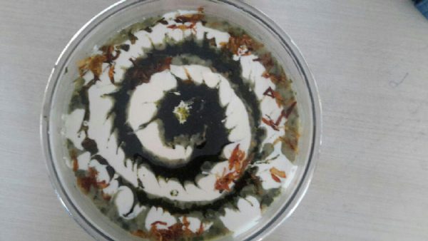 ایده تزئین آش کشک فوری