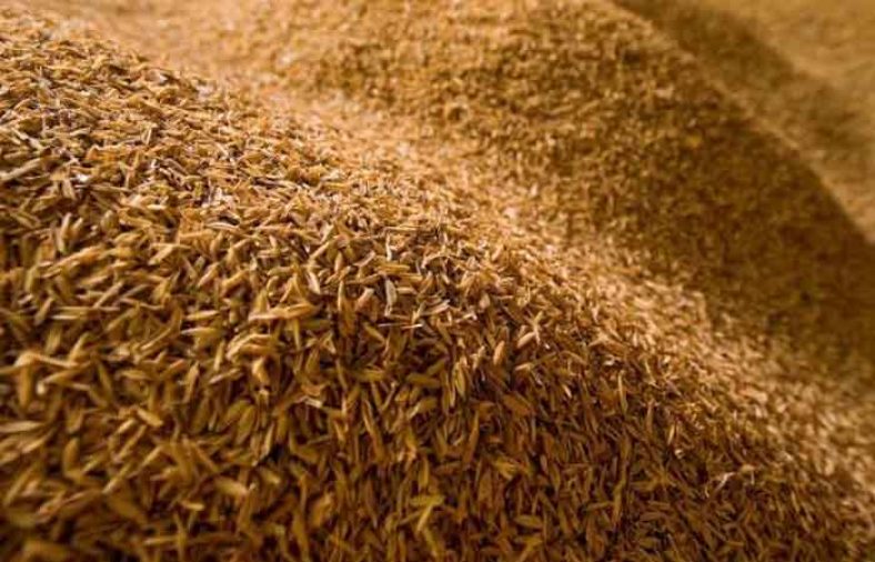سبوس برنج برای لاغری
