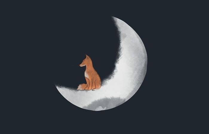 داستان ماه بود و روباه تفکر ششم
