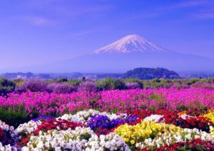 جملات و متن های زیبا و خواندنی