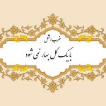 معنی ضرب المثل با یک گل بهار نمی شود