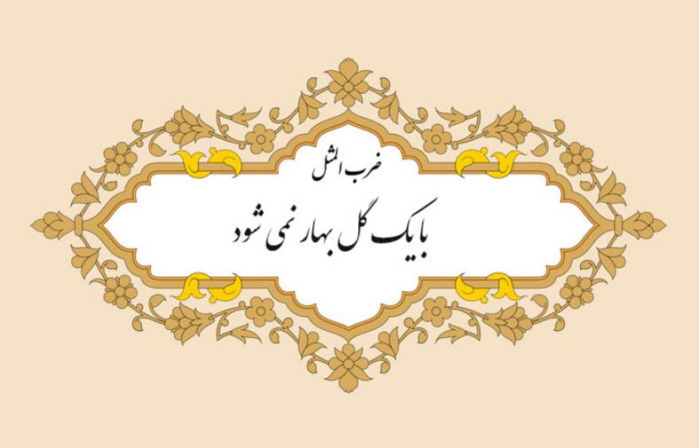 معنی ضرب المثل با یک گل بهار نمی شود