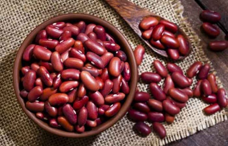طبع لوبیا