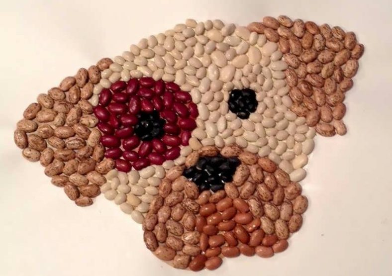نقاشی و کاردستی با حبوبات