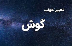 تعبیر خواب گوش