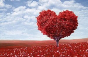 شعر عاشقانه گل