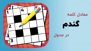 گندم در جدول