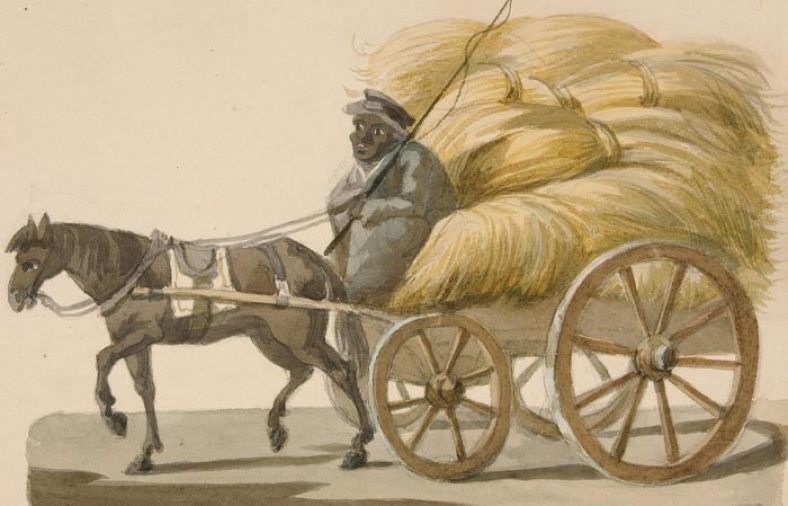 معنی شعر آزادگی