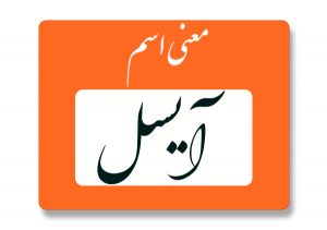 معنی اسم آیسل