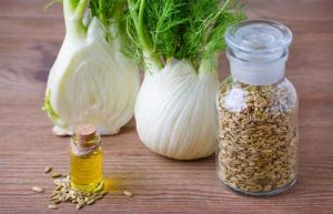 رازیانه برای نوزاد