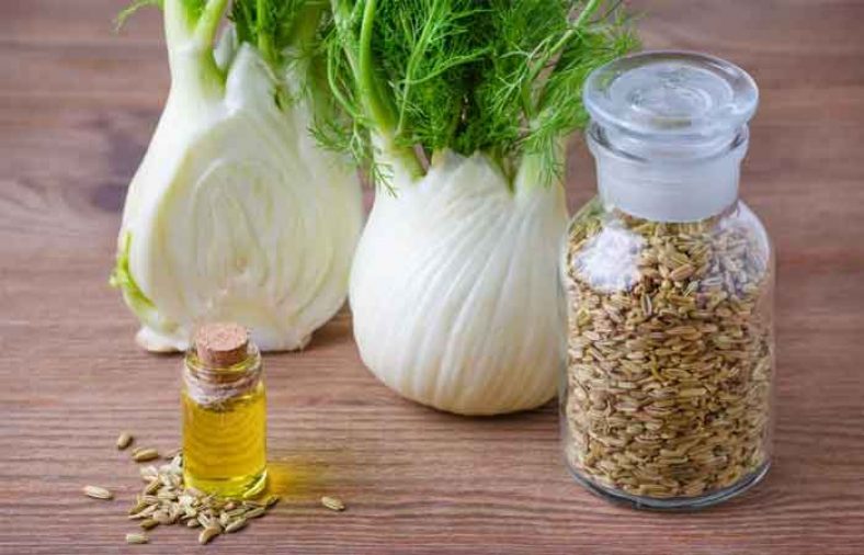 رازیانه برای نوزاد
