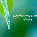 قطره بارانی هستید که از ابری چکیده اید