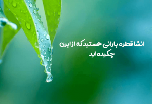 قطره بارانی هستید که از ابری چکیده اید