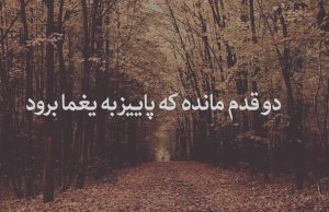 دو قدم مانده که پاییز به یغما برود