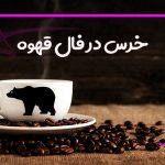 خرس در فال قهوه