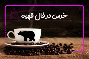 خرس در فال قهوه