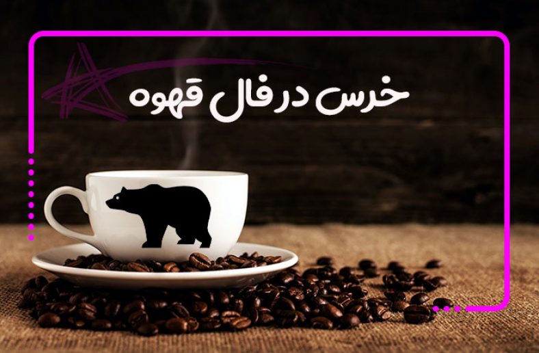 خرس در فال قهوه