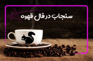 سنجاب در فال قهوه