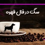 سگ در فال قهوه