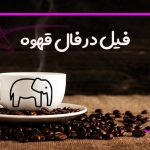 فیل در فال قهوه