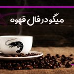 میگو در فال قهوه