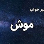 تعبیر خواب موش
